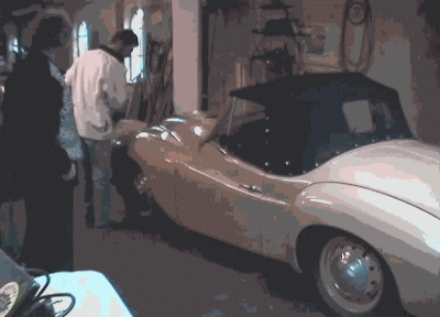 image2.gif