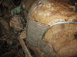 IMG_0976.jpeg